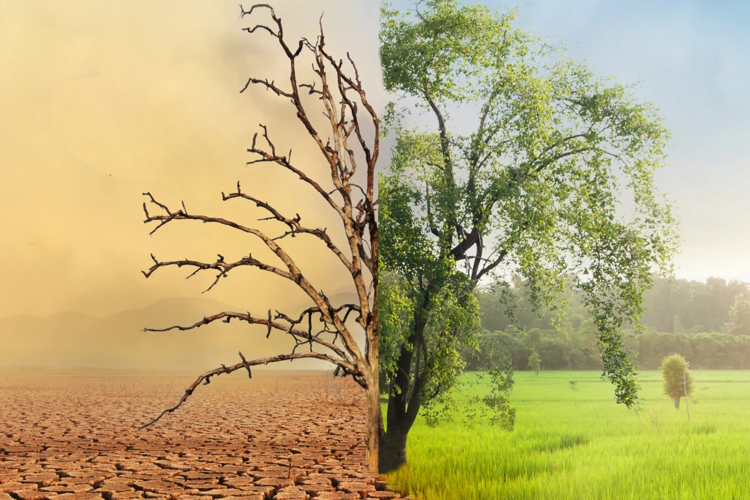 img-climate-security