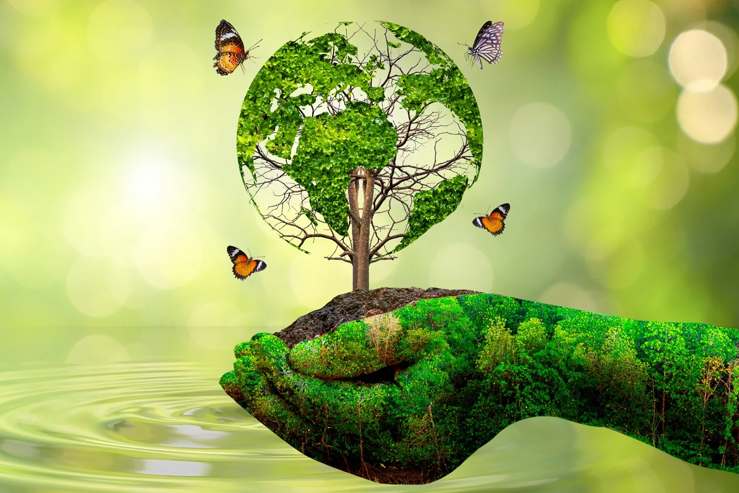 img-environmental-protection