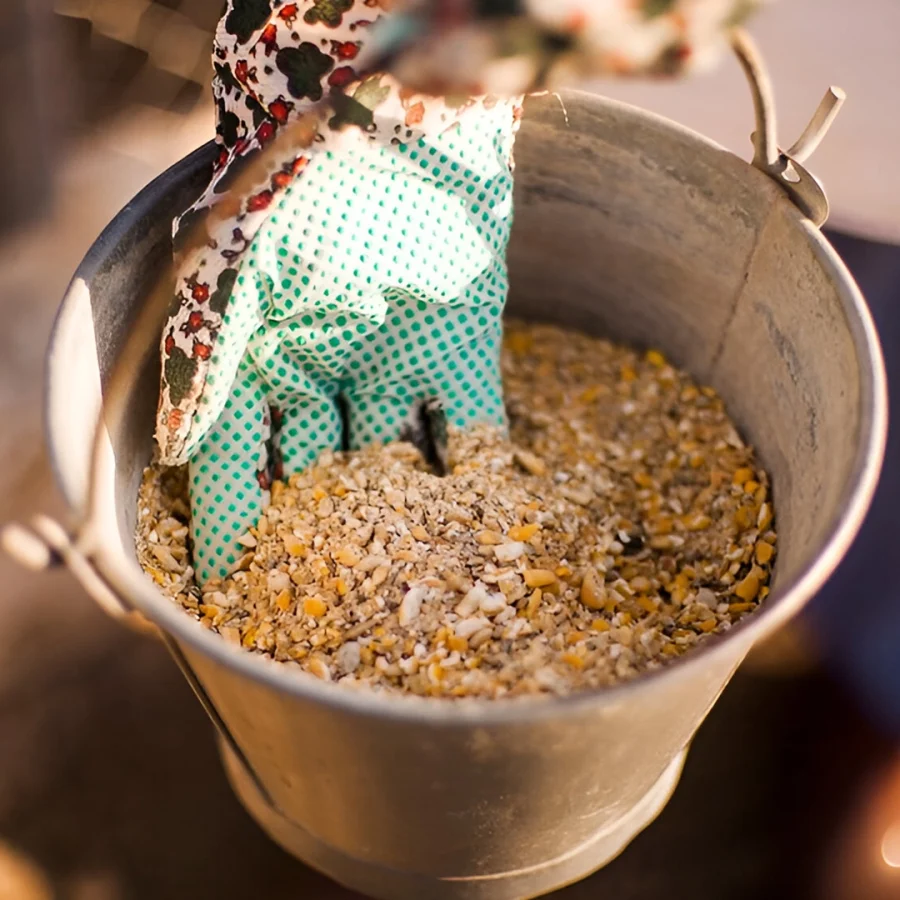 Feed Additives Manufacturer in India Feed Additives Manufacturer in India